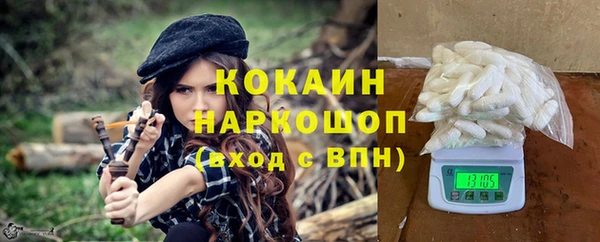 гашик Белокуриха