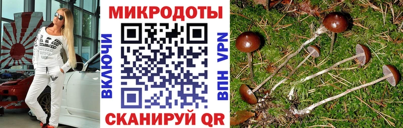 мега ТОР  Нововоронеж  Псилоцибиновые грибы Psilocybe  наркотики 